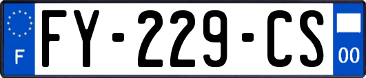 FY-229-CS