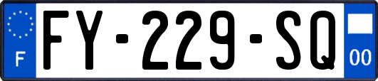 FY-229-SQ