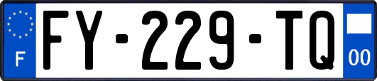 FY-229-TQ