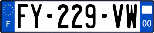 FY-229-VW