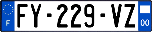 FY-229-VZ