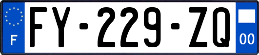 FY-229-ZQ