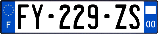 FY-229-ZS