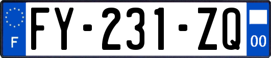 FY-231-ZQ