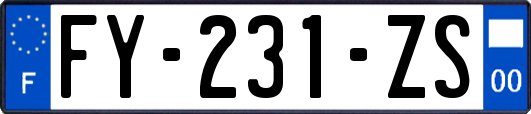 FY-231-ZS