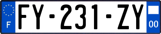 FY-231-ZY