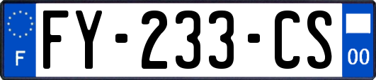 FY-233-CS