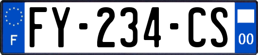 FY-234-CS