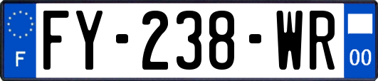 FY-238-WR