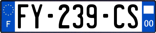 FY-239-CS