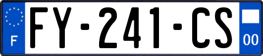 FY-241-CS