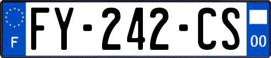 FY-242-CS