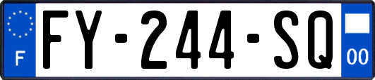 FY-244-SQ