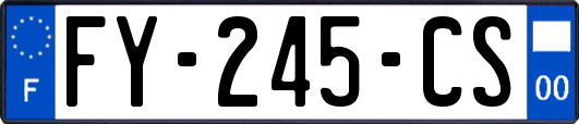 FY-245-CS