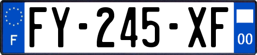 FY-245-XF