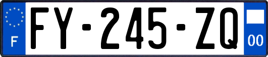 FY-245-ZQ