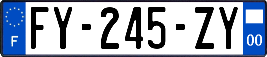 FY-245-ZY