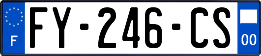 FY-246-CS
