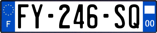 FY-246-SQ