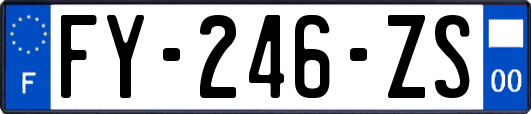 FY-246-ZS