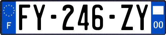 FY-246-ZY