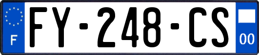 FY-248-CS