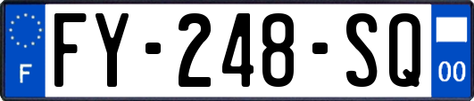 FY-248-SQ