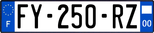 FY-250-RZ