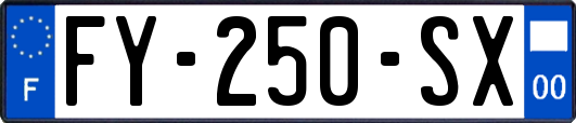 FY-250-SX