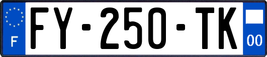 FY-250-TK