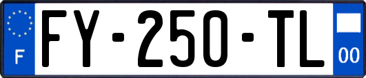 FY-250-TL