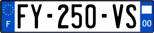 FY-250-VS