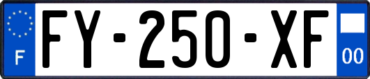 FY-250-XF
