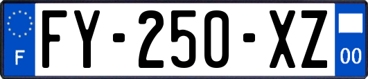 FY-250-XZ