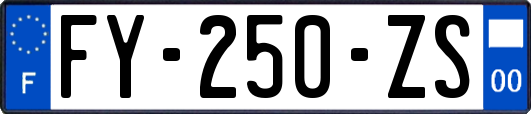 FY-250-ZS