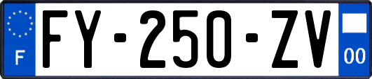 FY-250-ZV