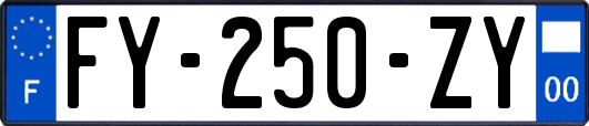 FY-250-ZY
