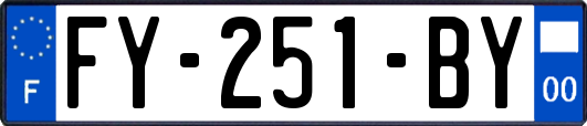 FY-251-BY