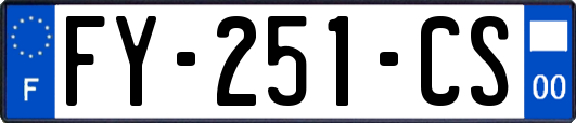 FY-251-CS
