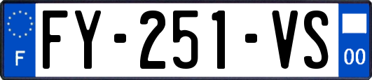 FY-251-VS