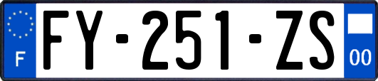 FY-251-ZS