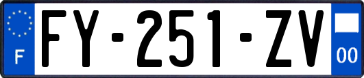 FY-251-ZV