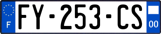FY-253-CS