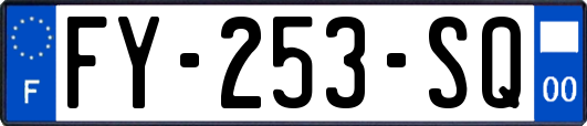 FY-253-SQ