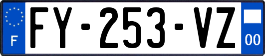 FY-253-VZ