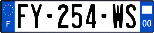 FY-254-WS