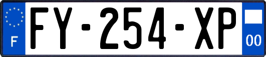 FY-254-XP