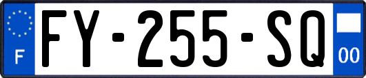 FY-255-SQ