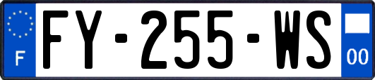 FY-255-WS