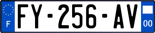 FY-256-AV